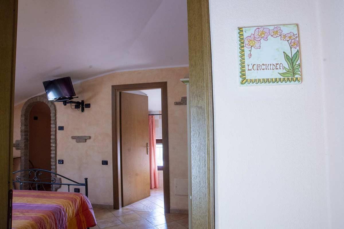 Agriturismo Gaspari Farm Волта Мантована Екстериор снимка
