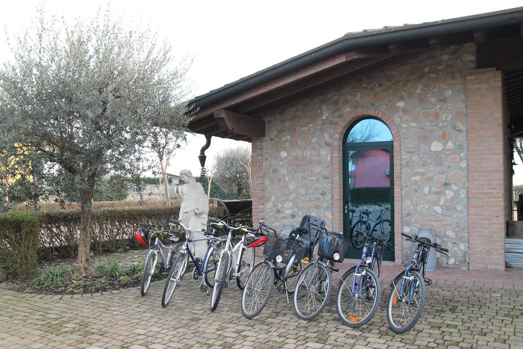 Agriturismo Gaspari Farm Волта Мантована Екстериор снимка